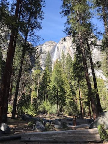 Yosemite Haven @ Pine Mountain Lake. Dog Friendly! Groveland Dış mekan fotoğraf
